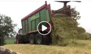 Giga Trailer